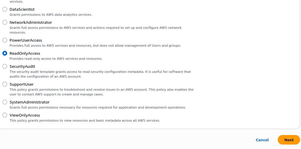 ReadOnlyAccess Policy